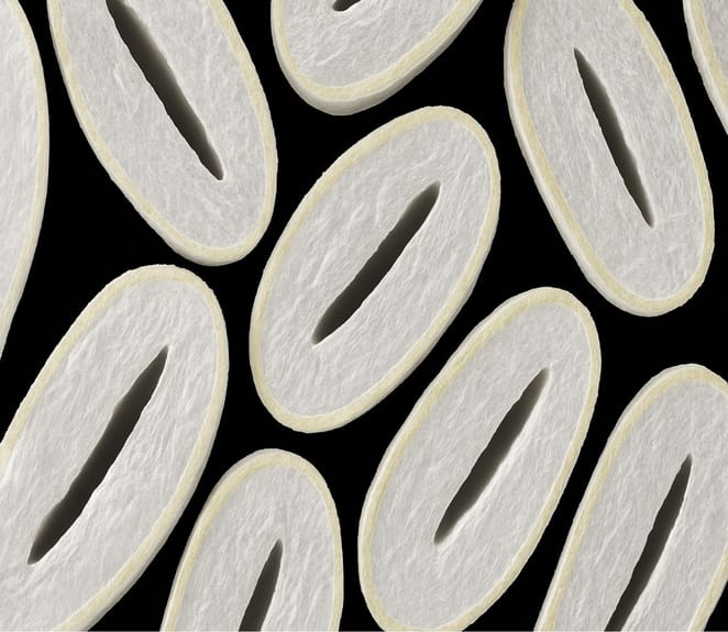 Scanning electron microscope image of Fibre52-prepared cotton fiber cross-sections showing more of the natural wax layer preserved